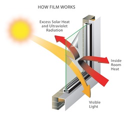 UV Window Film Protects Your Collectibles